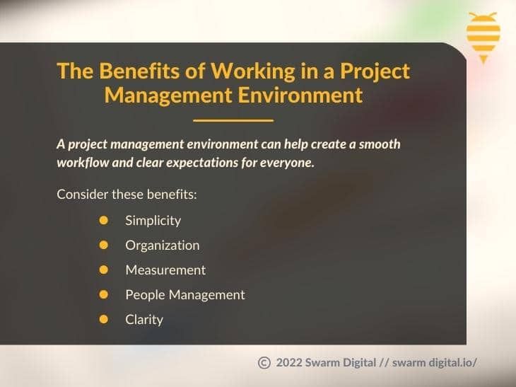 What is a Project Management Environment?
