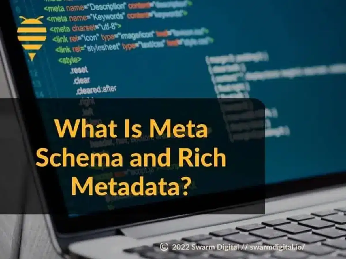 What Is Meta Schema and Rich Metadata?