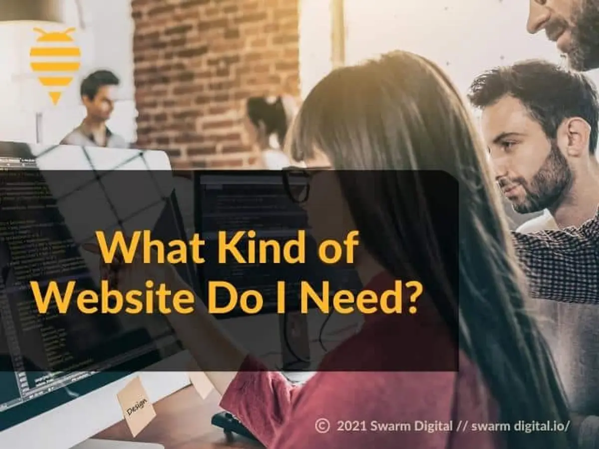 What Kind of Website Do I Need?
