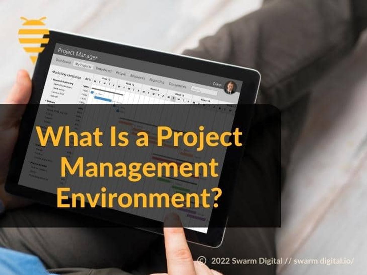 What is a Project Management Environment?