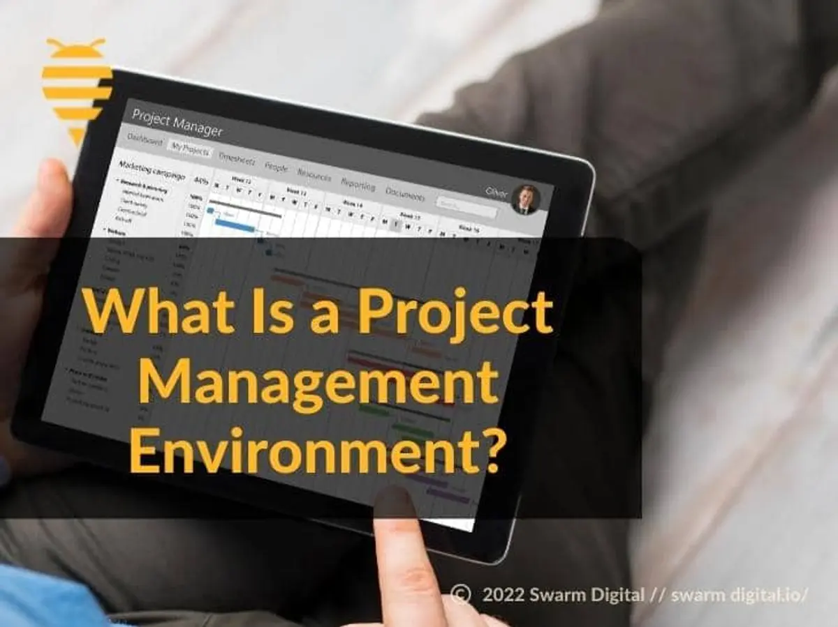 What is a Project Management Environment?