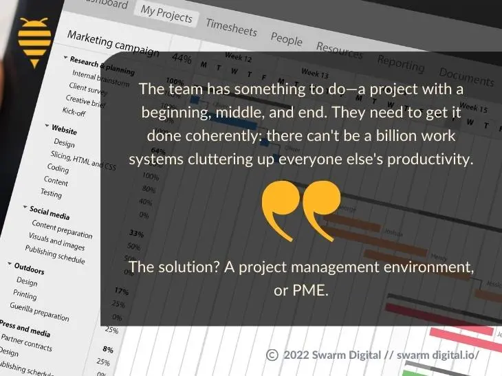 What is a Project Management Environment?