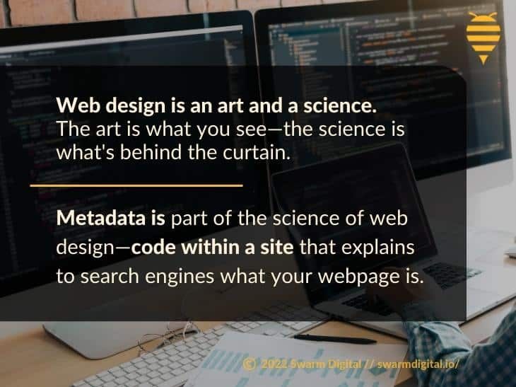 What Is Meta Schema and Rich Metadata?