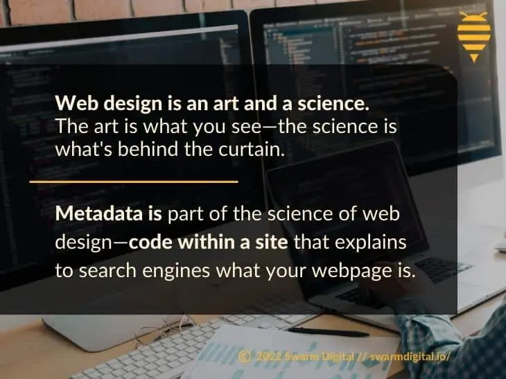 What Is Meta Schema and Rich Metadata?