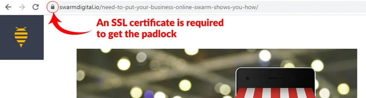 Need to Put Your Business Online? Swarm Shows You How.