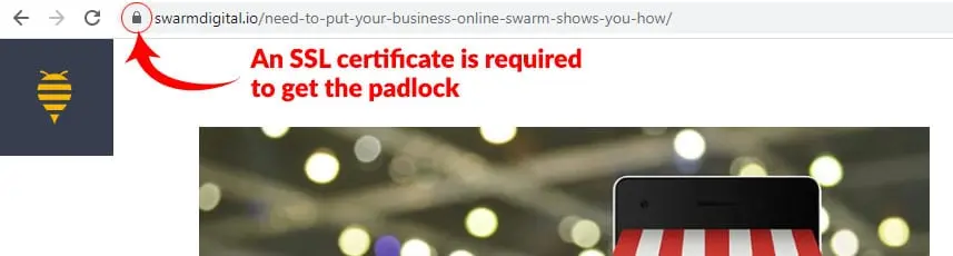 Need to Put Your Business Online? Swarm Shows You How.