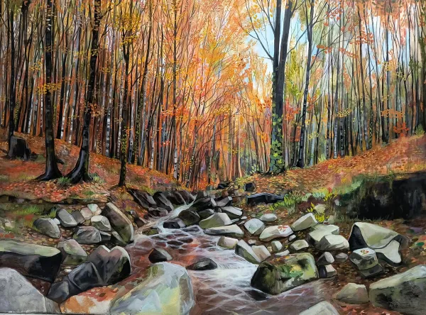 Bosco d'autunno