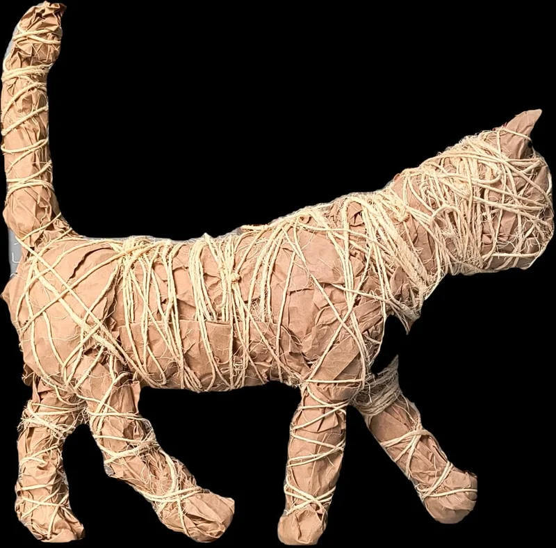 gatto