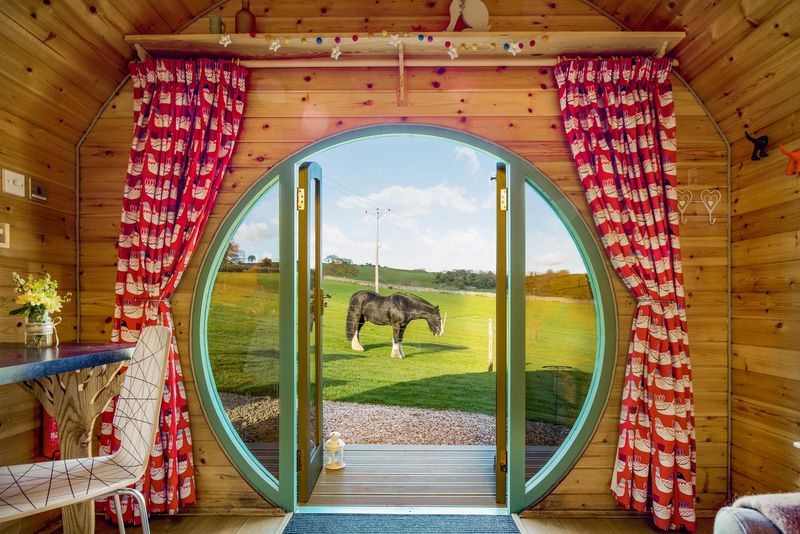 Swallow Glamping Pod - My Eco Escape