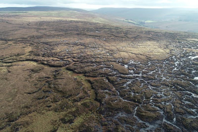 Source- https://greatnorthbog.org.uk