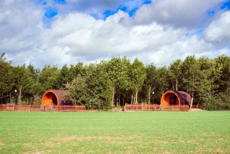 Dog-Friendly Glamping at Eyekettle Bye Lakes