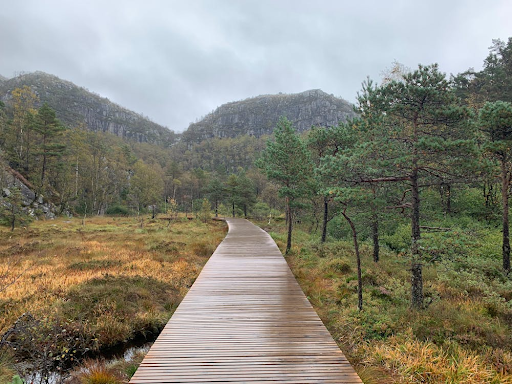 Source-Sanjay Prakash