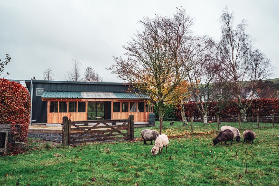 Eco-Friendly Retreat in Scotland: The Green House Cabin Story | My Eco Escape