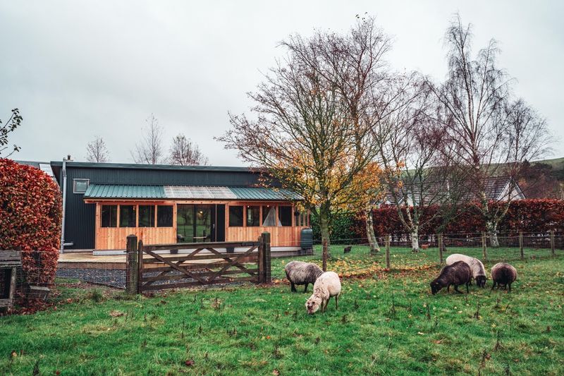 Green House Cabin - My Eco Escape