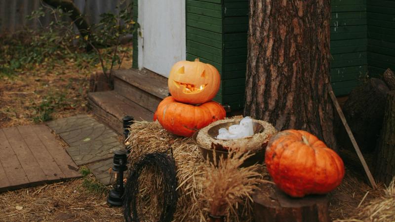Sustainable Halloween Decor: Spooky Without the Plastic