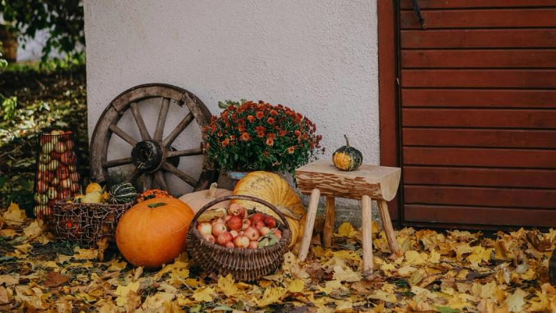 The Setting: Where Nature Meets Halloween Magic