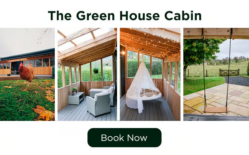 The Green House Cabin - My Eco Escape