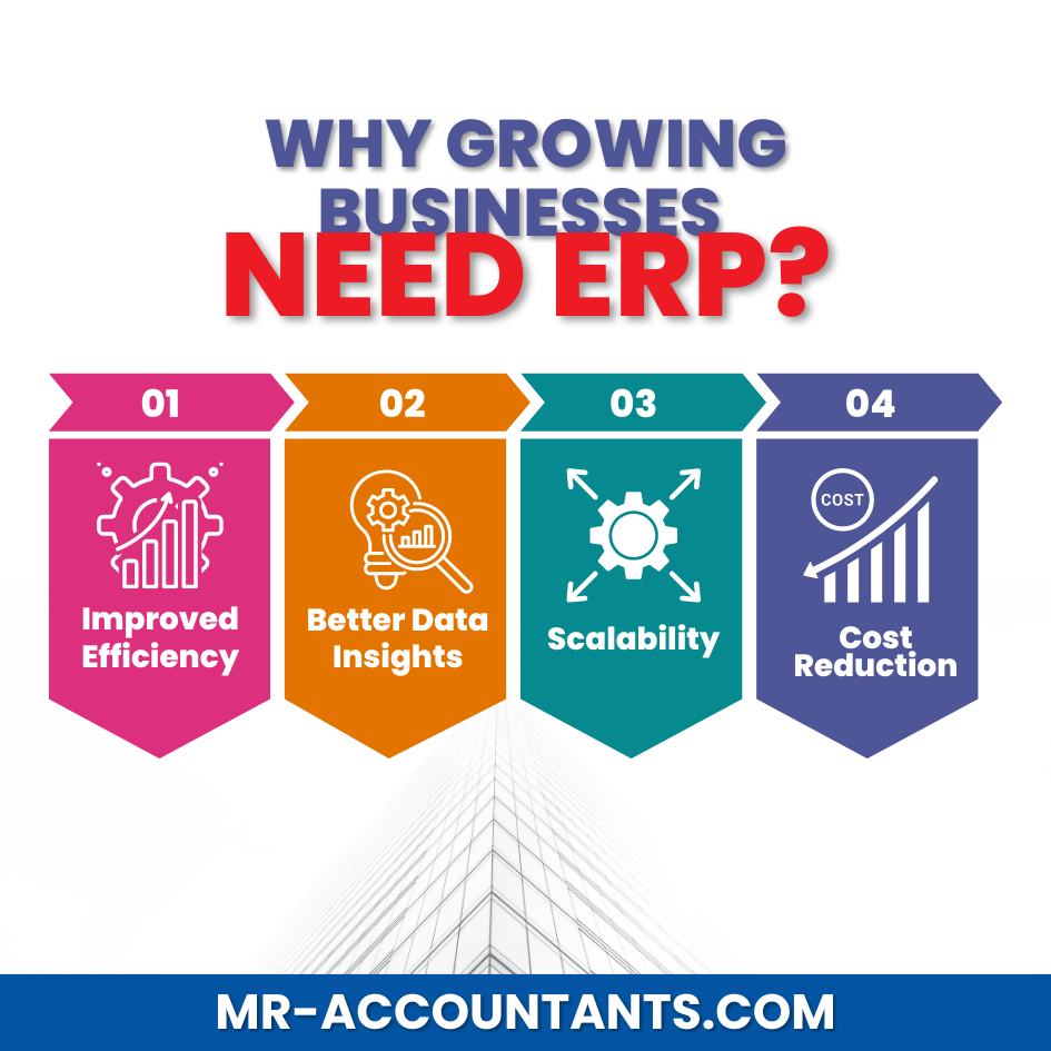 why growing businesses need erp