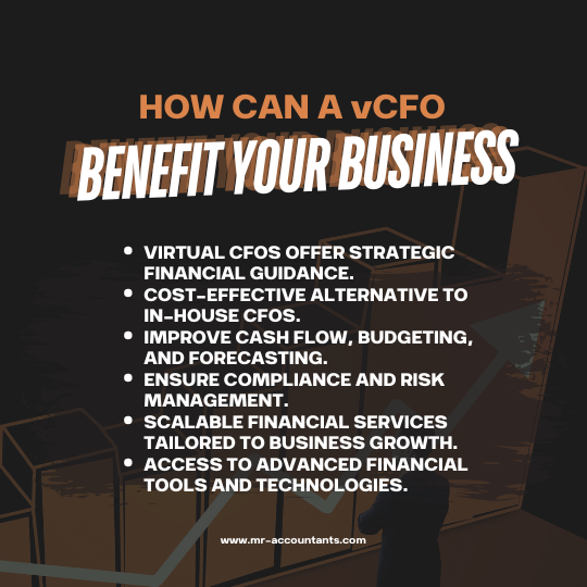 vcfo to assist your business