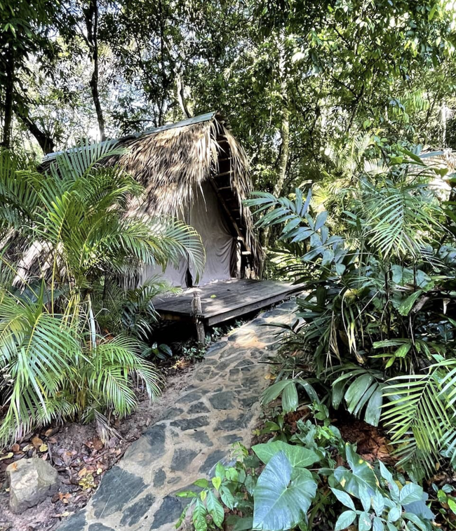 gallery-Tropical Hut-0