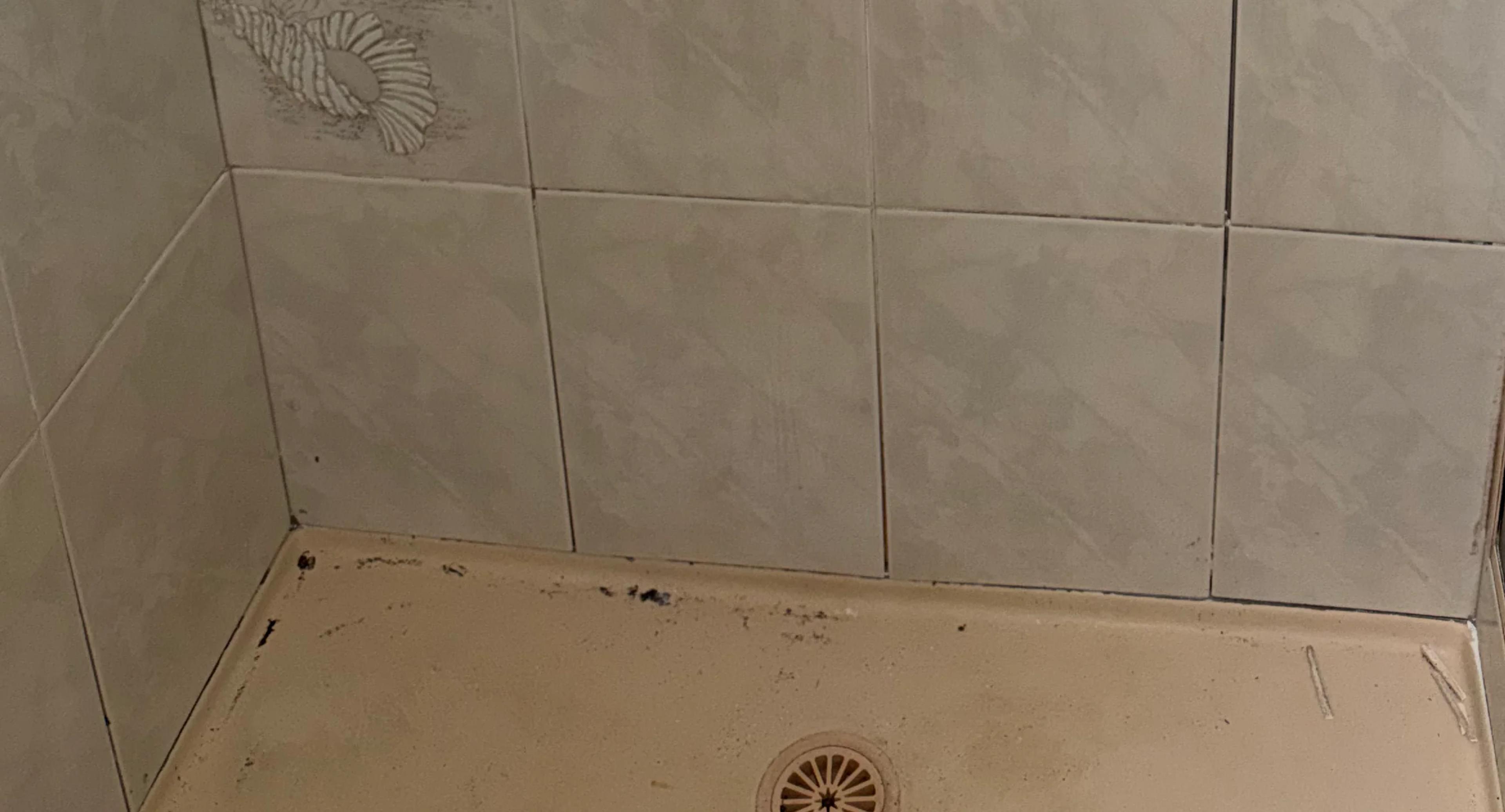 Before tile re-grouting, Ballina NSW.