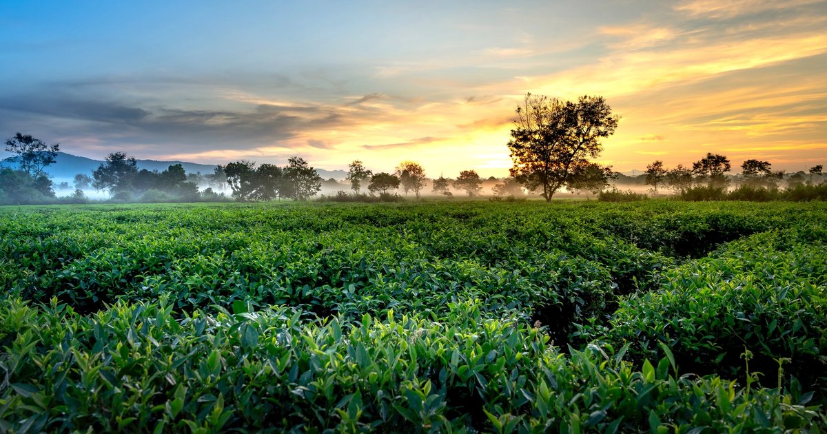 How to Monitor the lifespan of an Electric Vehicle Battery