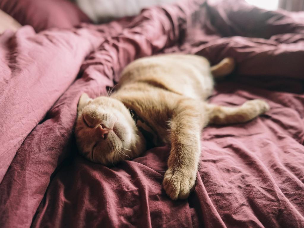 sommeil