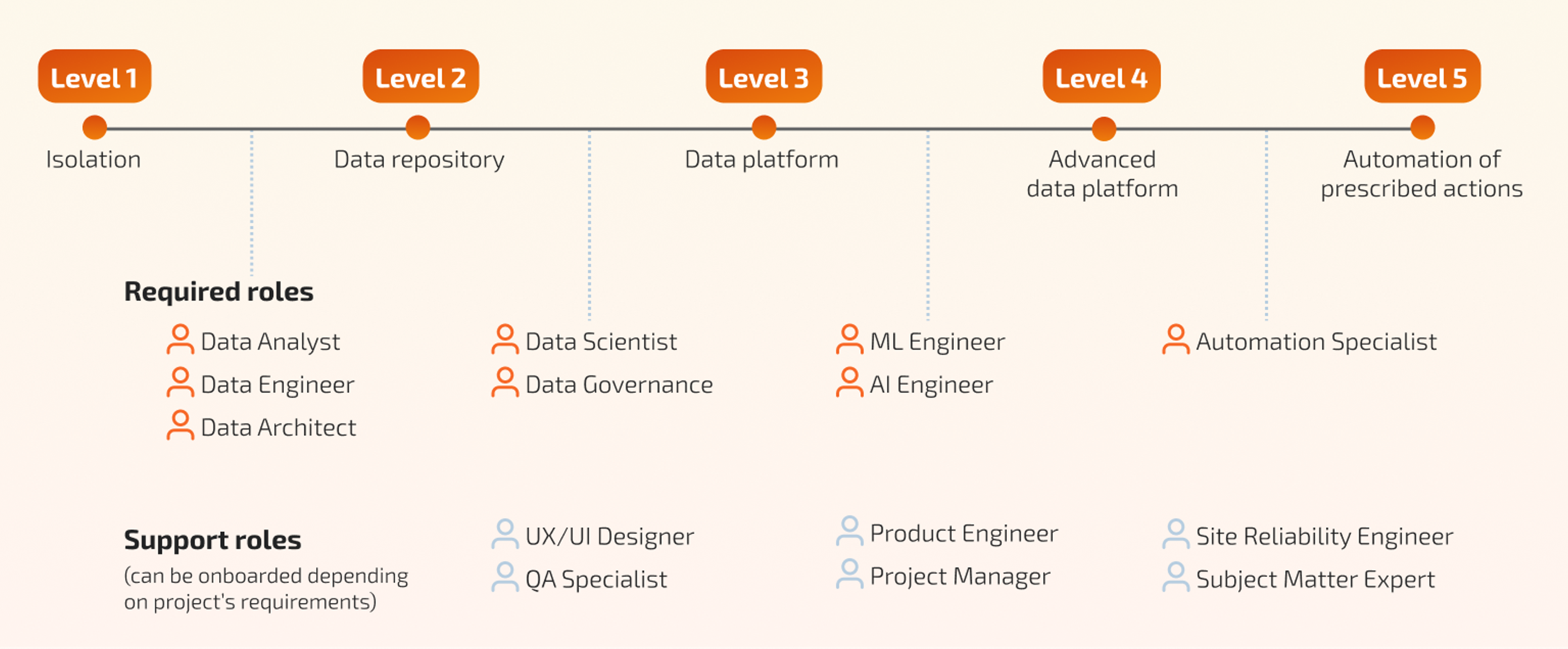 Required and support roles for each level of the Data & Analytics Maturity Curve