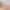bleo-tiles-placeholder