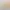 beyond-the-surface-table-placeholder