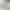 lokum-petrol-green-placeholder