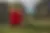 [object Object]-image-1