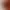 roll-placeholder