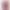 sweep-canvasses-placeholder