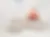 [object Object]-image-1