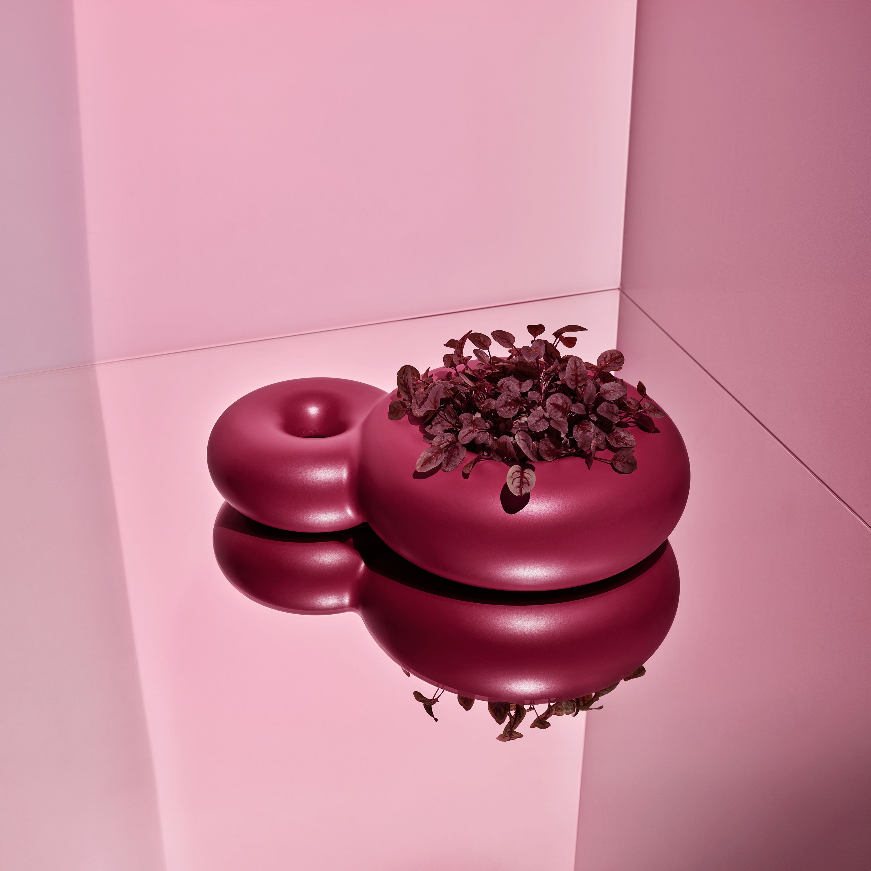 [object Object]-image-1