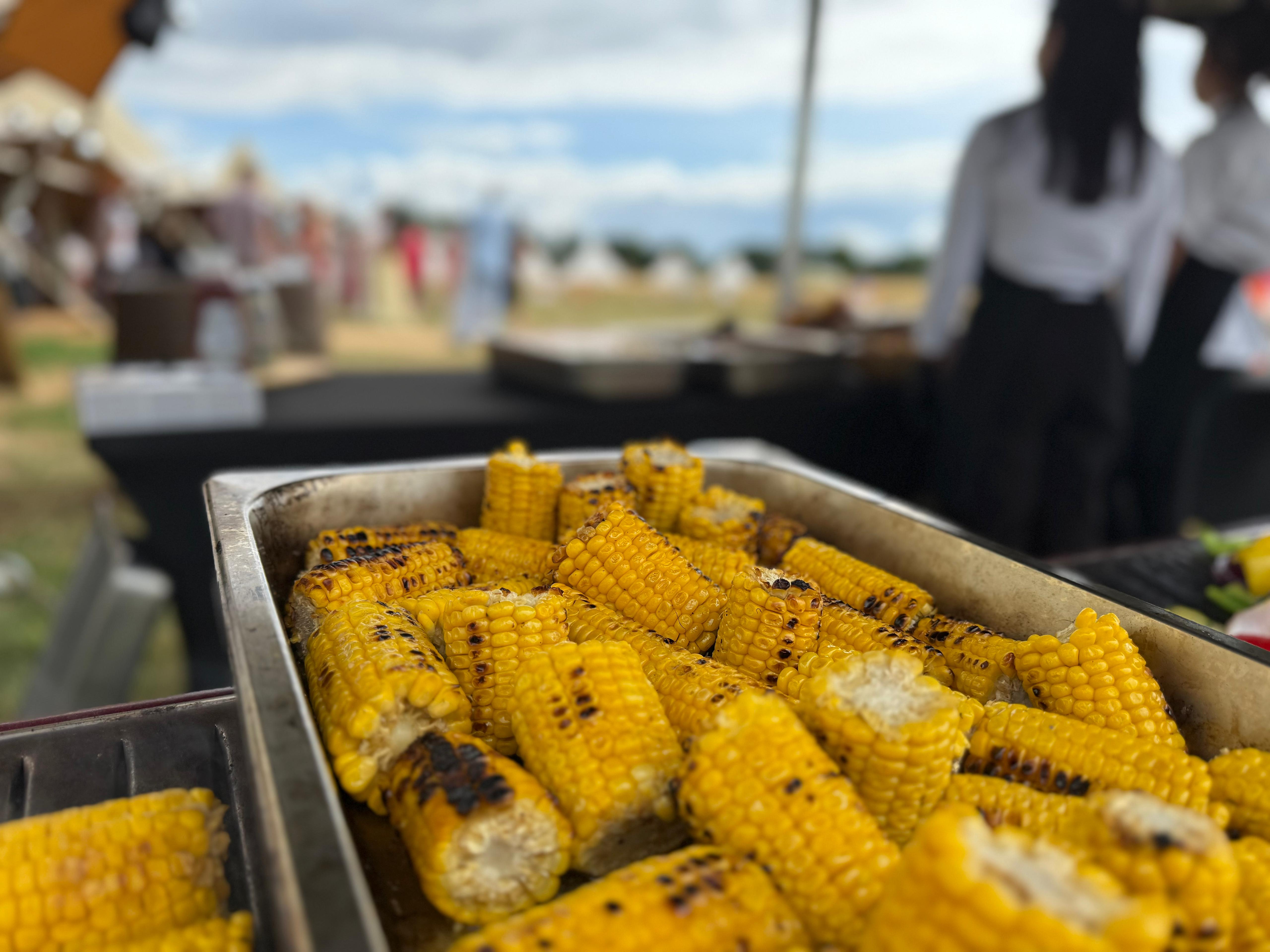 Cotswolds Hog Roast & Pizza Catering | Events