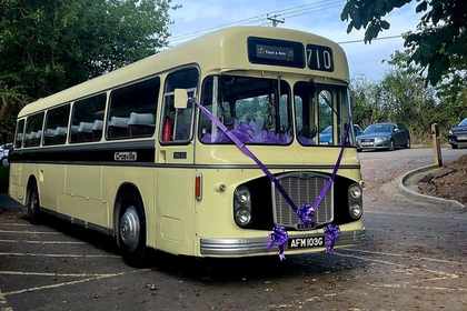Wedding Hog Roast catering, Wiltshire