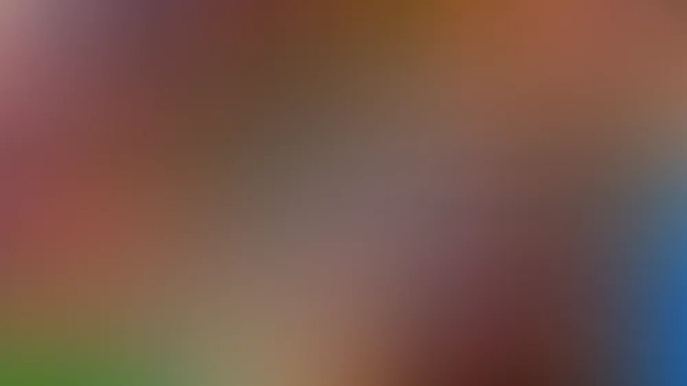 Jacky Winter Academy