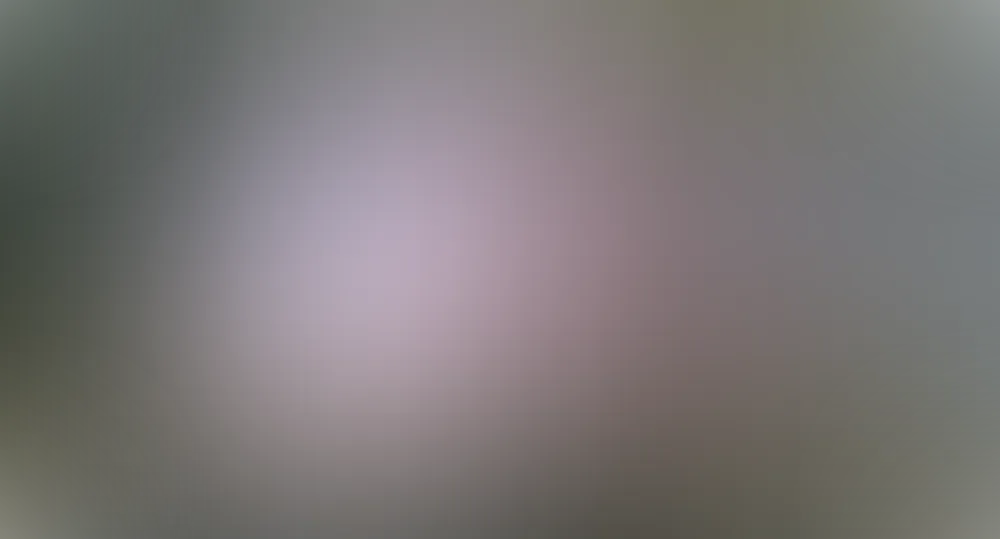 Jacky Winter Academy