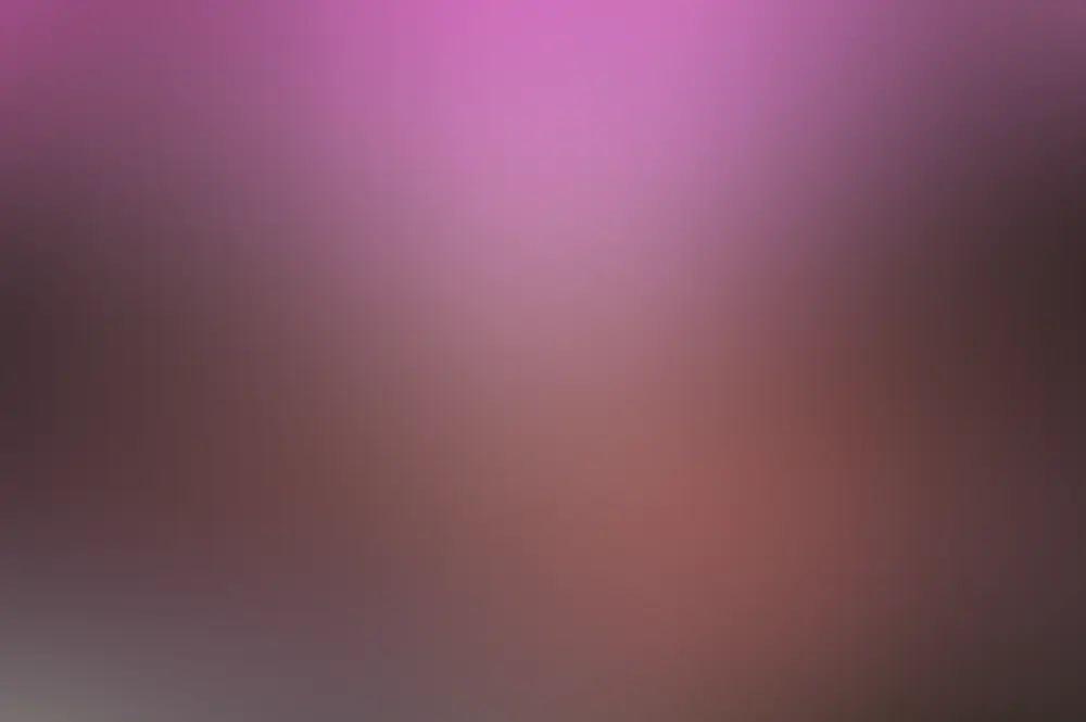 Jacky Winter Academy