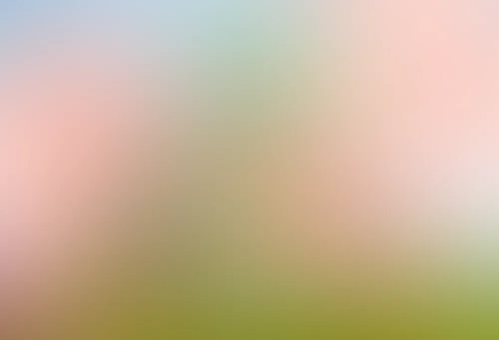 Jacky Winter Academy