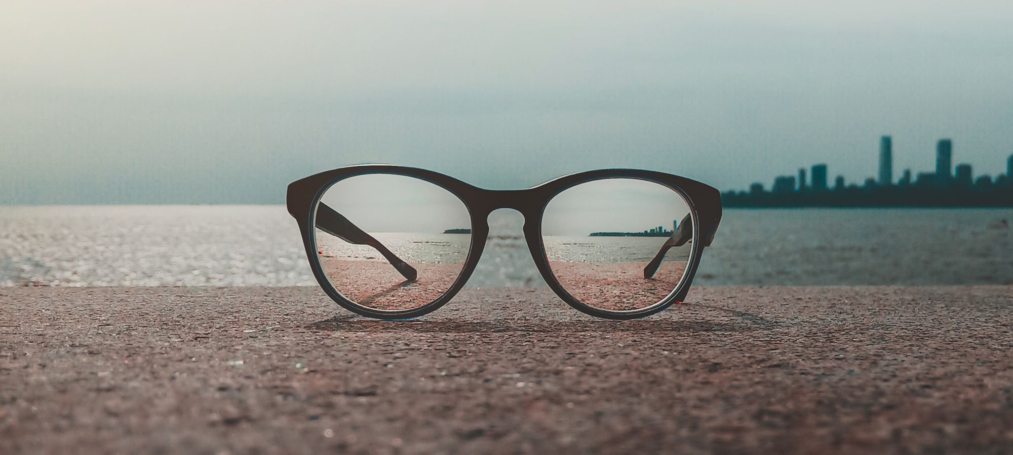 Vision