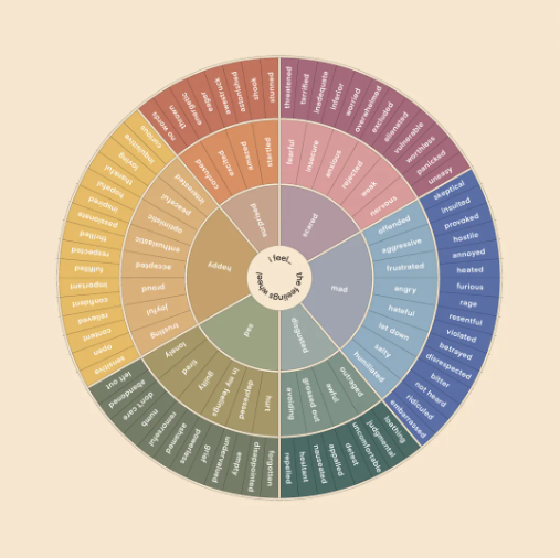 Feelings Wheel