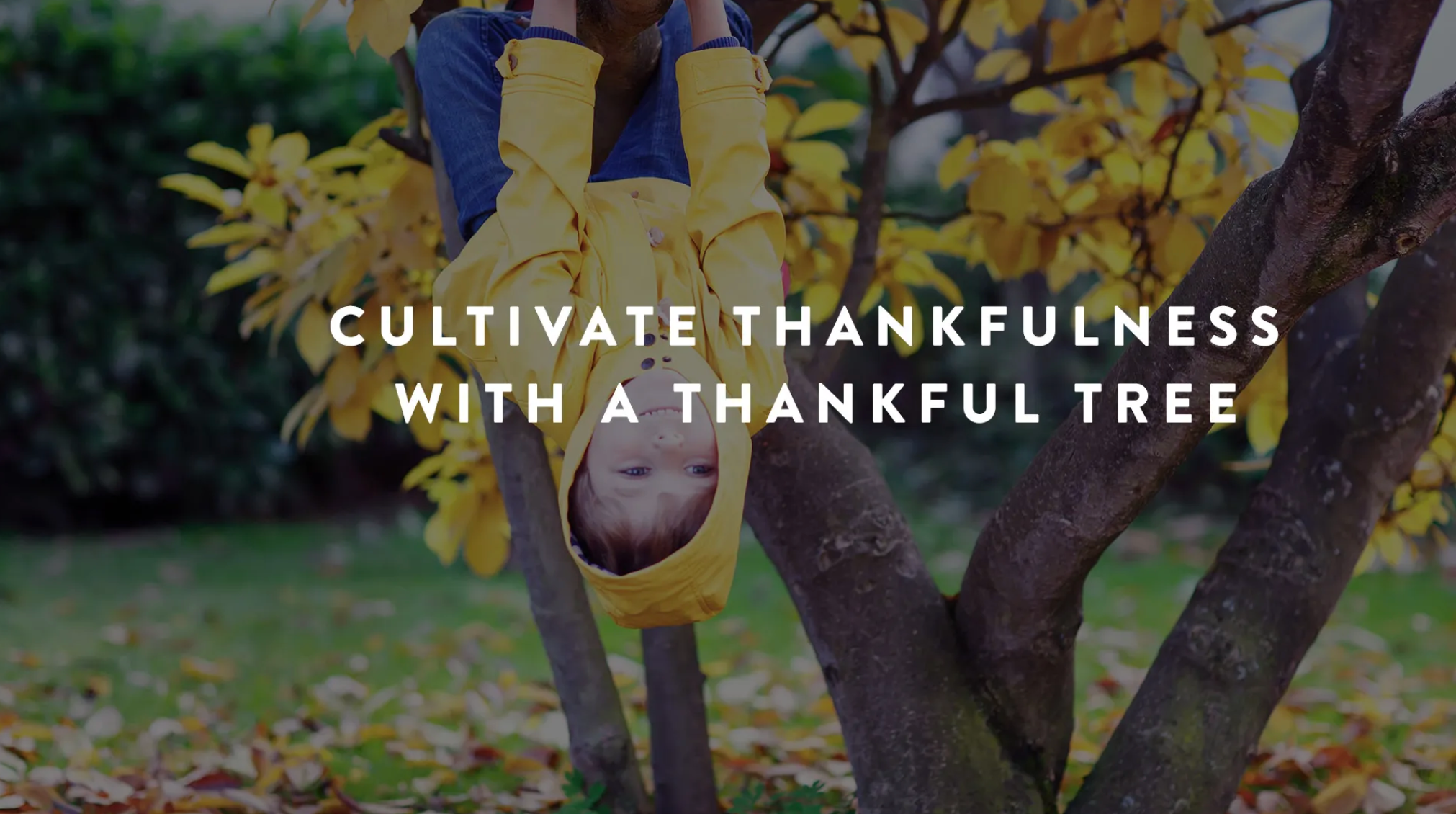 Cultivate Thankfulness with a Thankful Tree