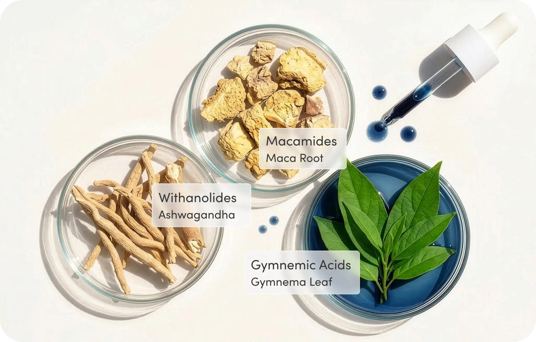 Blue Burn Ingredients
