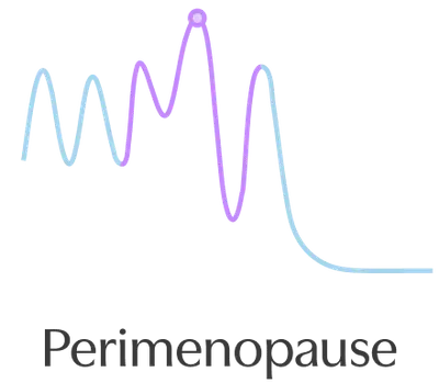 Perimenopause Graphic