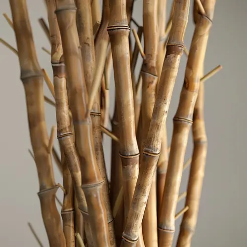 bamboo ingredient