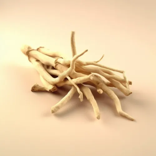 Ashwagandha roots image