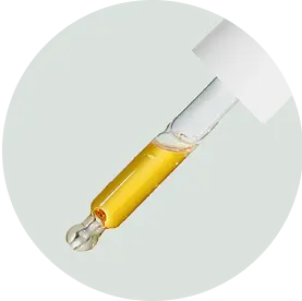 Digestion